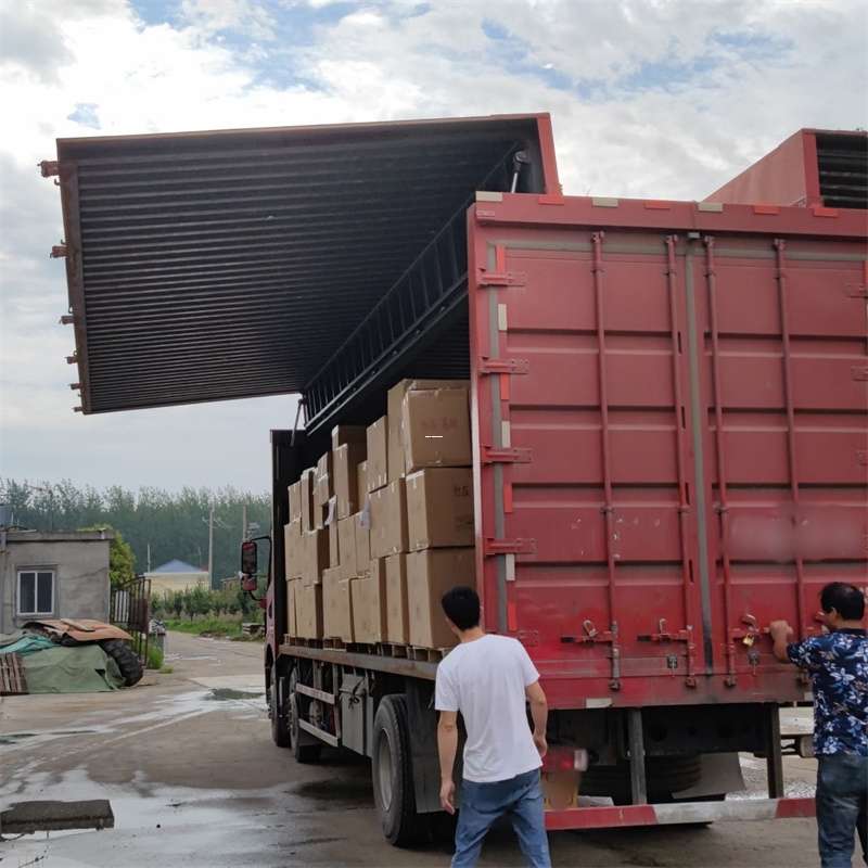 龙凤区长坡镇物流：多维度运输服务探秘