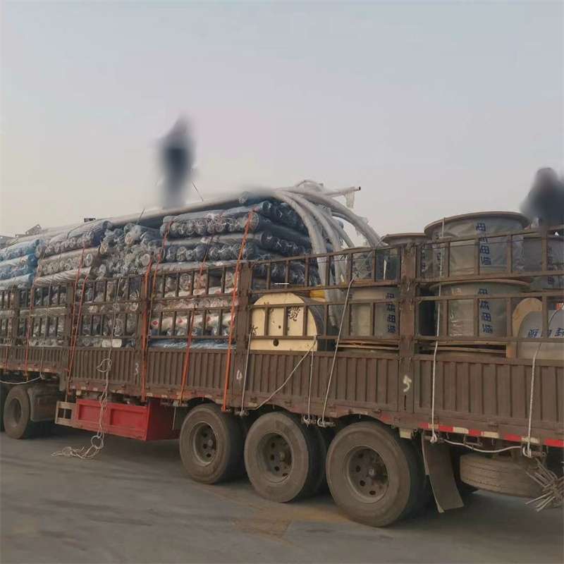 龙凤区福州市物流：多元服务与高效运输线路探秘