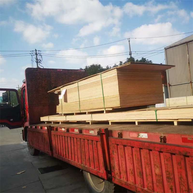 龙凤区桥西区物流专线的多元运输世界