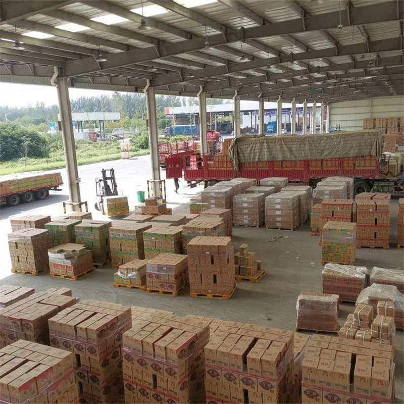 龙凤区克拉玛依市物流运输：专线直达与大件货运探秘