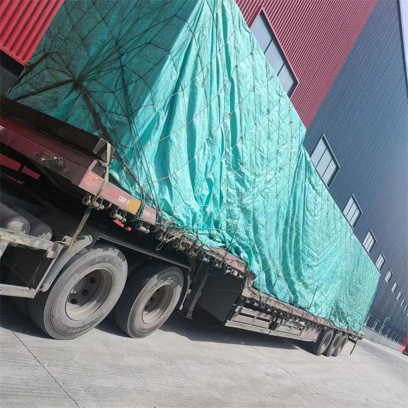 龙凤区肃南县：物流专线的高效货运之旅