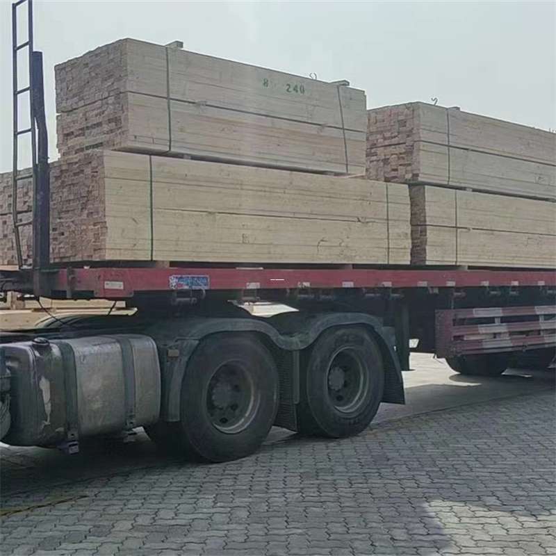 龙凤区耀州区物流专线：多元服务与高效运输探秘