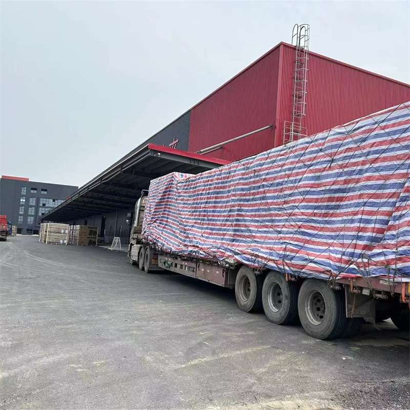 龙凤区墨脱县：物流专线的多元货运服务